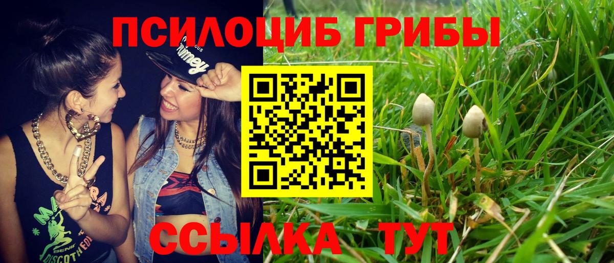 Псилоцибиновые грибы Magic Shrooms  где можно купить   Павлово  Вход с VPN  Галлюциногенные грибы ЛСД 