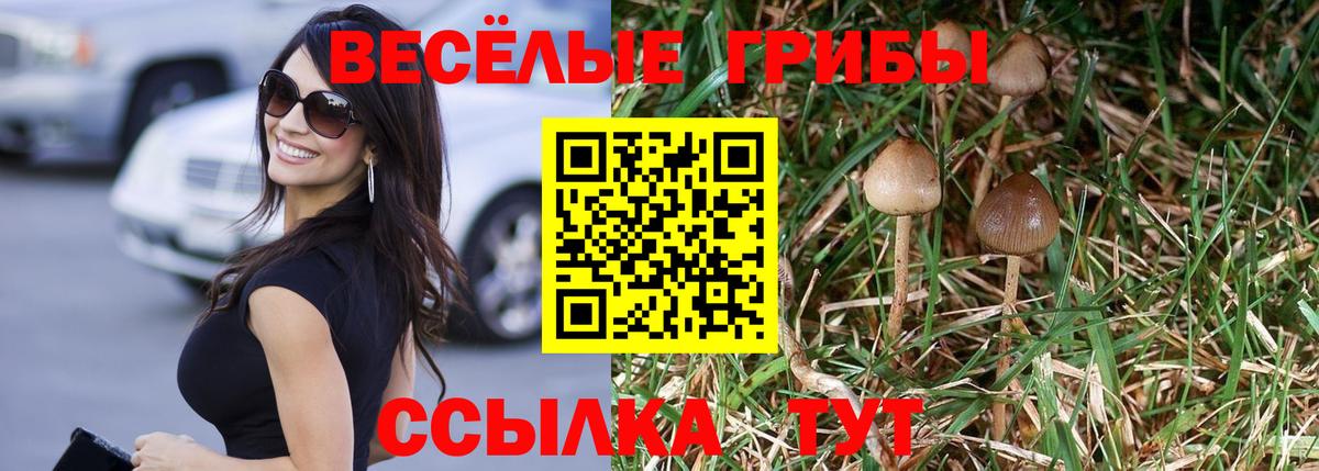Псилоцибиновые грибы прущие грибы Павлово
